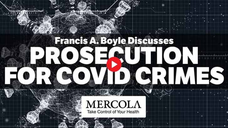 ROADMAP FOR PROSECUTING COVID CRIMES- INTERVIEW WITH FRANCIS A. BOYLE